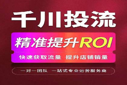 百度竞价排名案例解析：如何快速提升网站流量